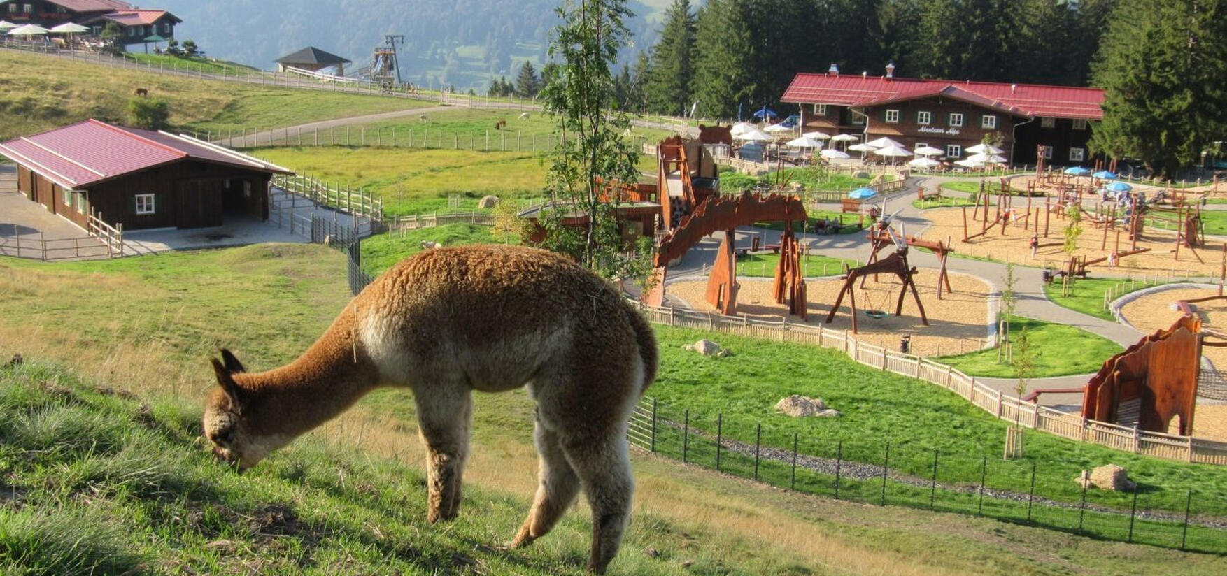 Unsere Tiere