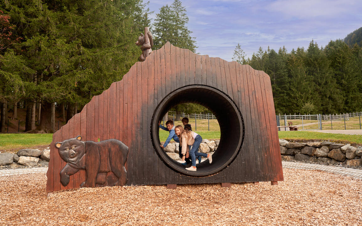 Alpsee Bergwelt Abenteuer Alpe Spielplatz Rolle