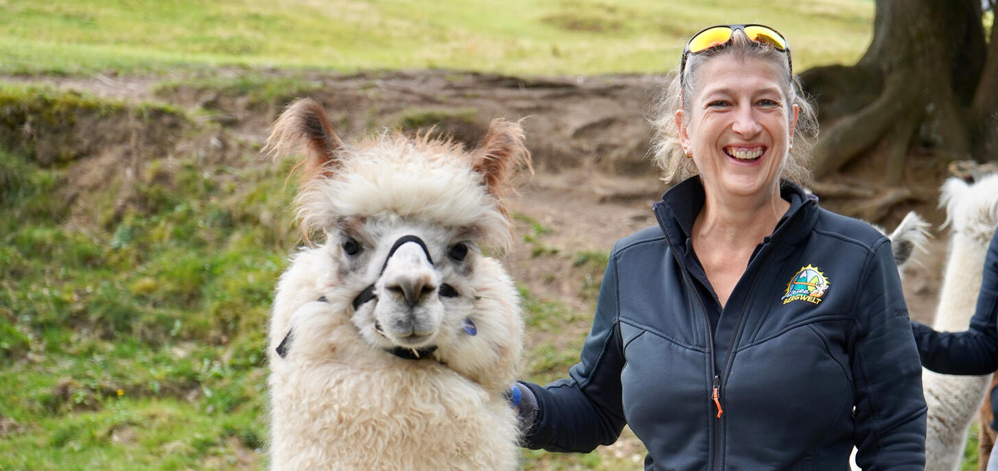 Bergwelt Alpakas & Lamas zu verkaufen