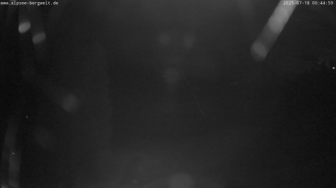 Webcam 1
