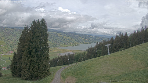 Webcam 1
