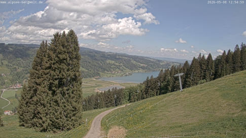 Webcam 1