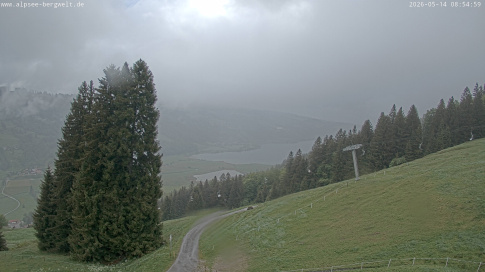 Webcam 1