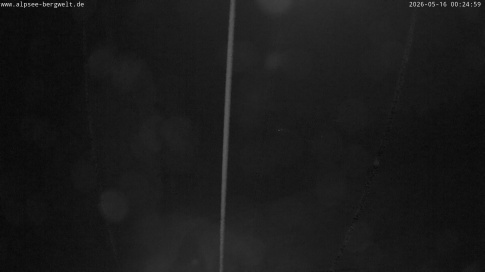 Webcam 1