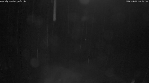 Webcam 1