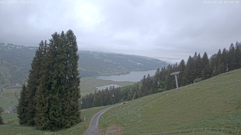 Webcam 1