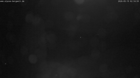 Webcam 1