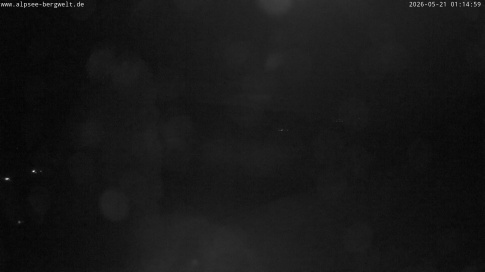 Webcam 1
