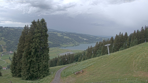 Webcam 1