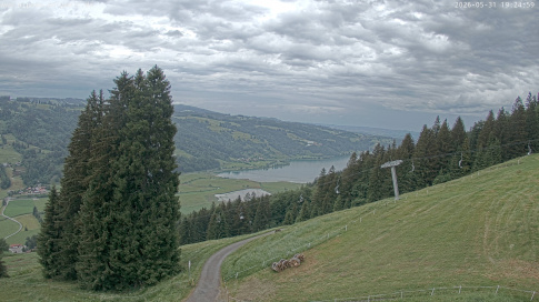 Webcam 1