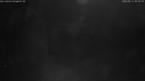 Webcam 1