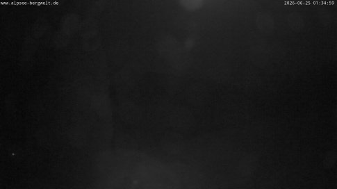 Webcam 1