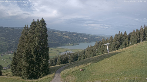 Webcam 1