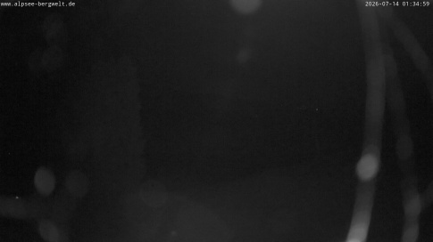 Webcam 1