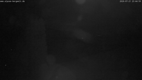 Webcam 1