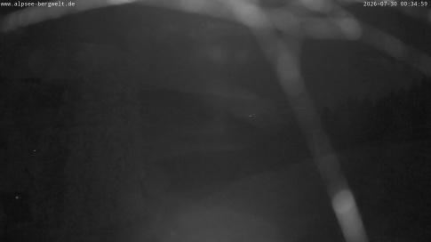 Webcam 1