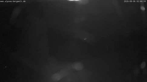 Webcam 1