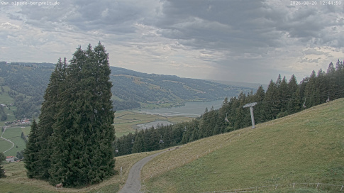 Webcam 1