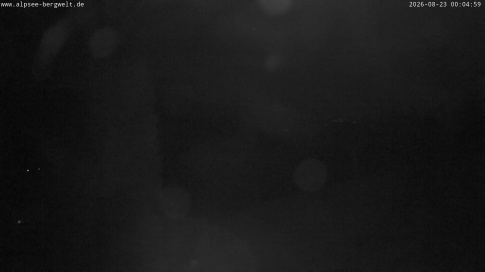 Webcam 1