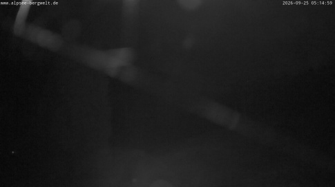 Webcam 1