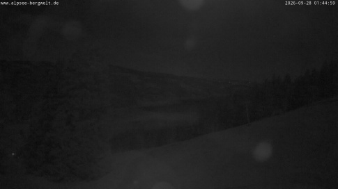 Webcam 1
