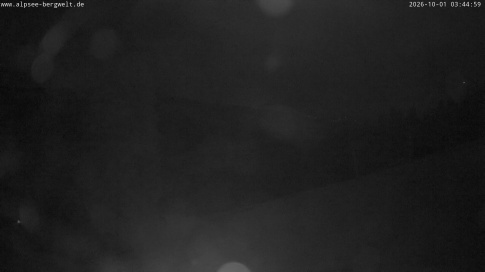 Webcam 1