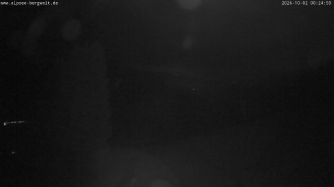 Webcam 1