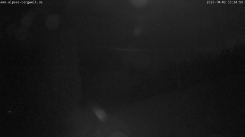 Webcam 1
