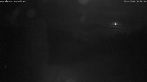 Webcam 1