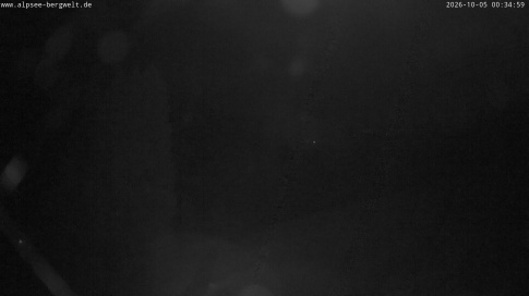 Webcam 1