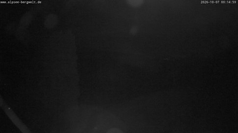 Webcam 1
