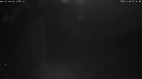 Webcam 1