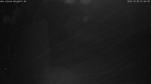 Webcam 1
