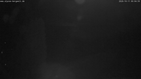 Webcam 1
