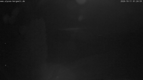 Webcam 1
