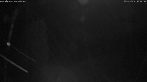 Webcam 1