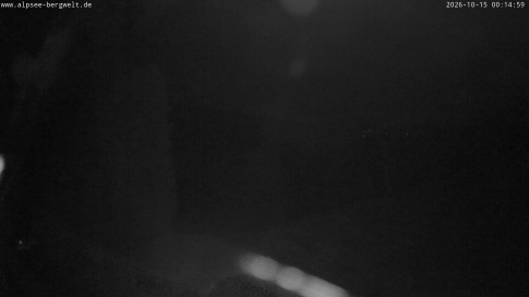 Webcam 1
