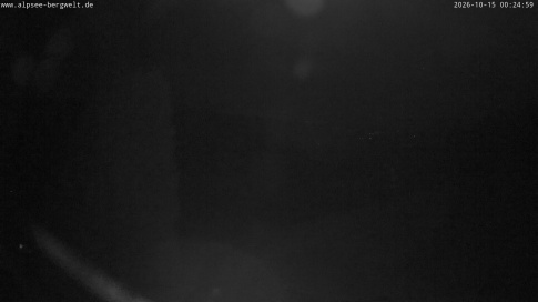 Webcam 1