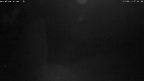 Webcam 1
