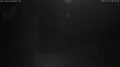 Webcam 1