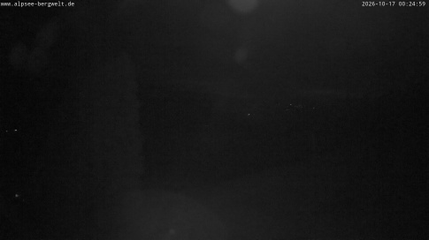 Webcam 1
