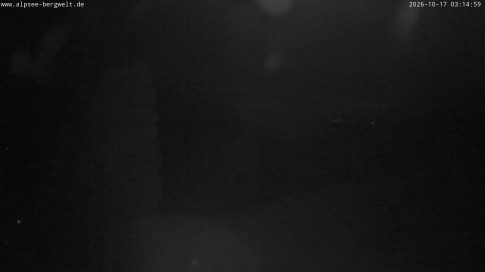 Webcam 1