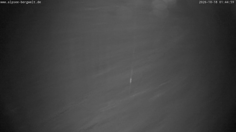 Webcam 1
