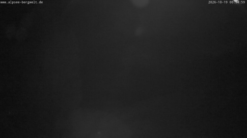 Webcam 1