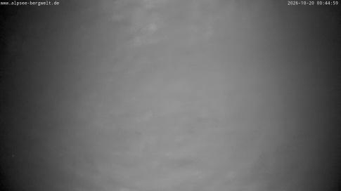 Webcam 1