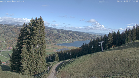 Webcam 1